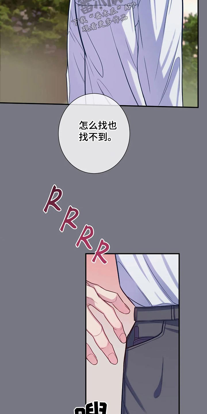 《田园一夏》漫画最新章节第88章：看星星免费下拉式在线观看章节第【17】张图片