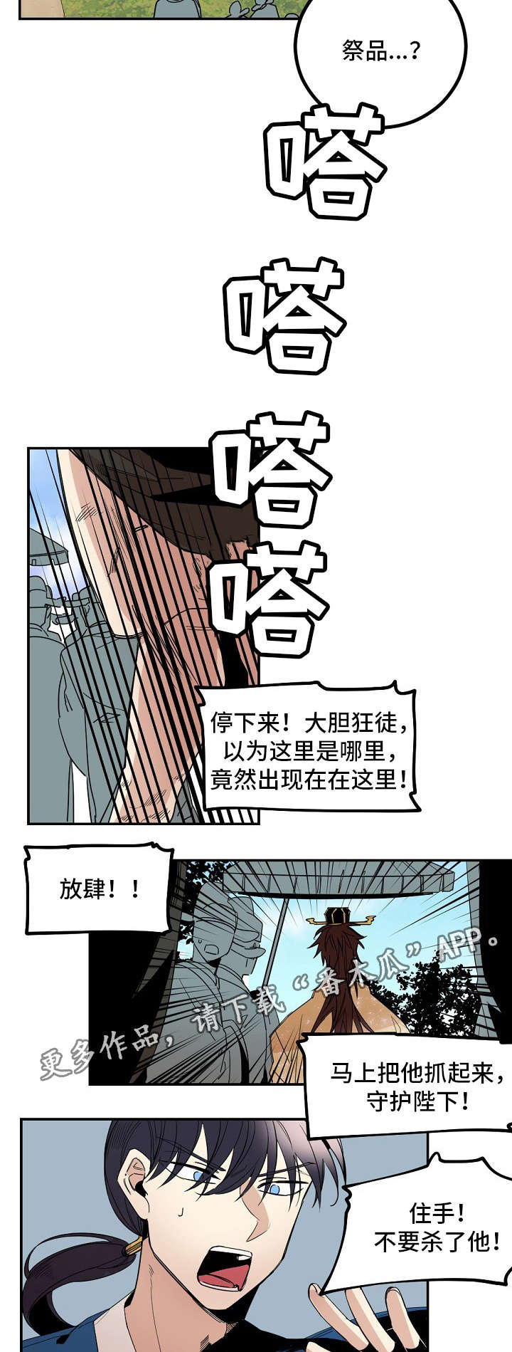 《前生今世》漫画最新章节第25章：祭品免费下拉式在线观看章节第【6】张图片