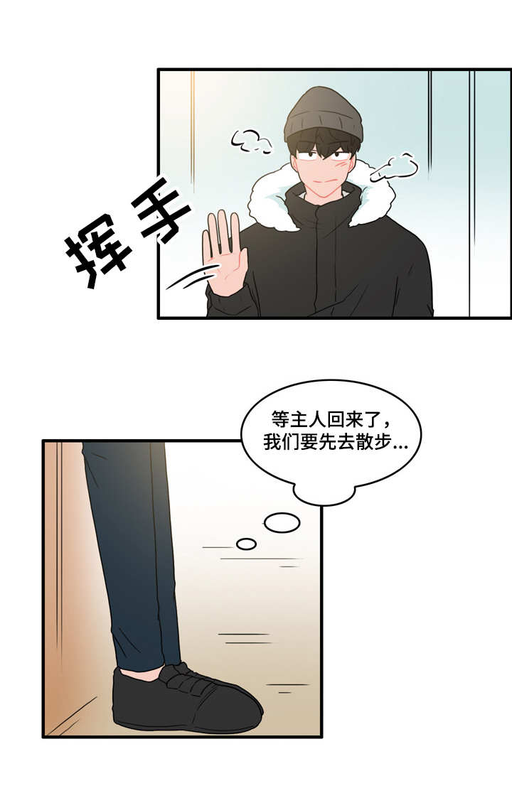 《人形玩物》漫画最新章节第54章：又遇见了免费下拉式在线观看章节第【5】张图片