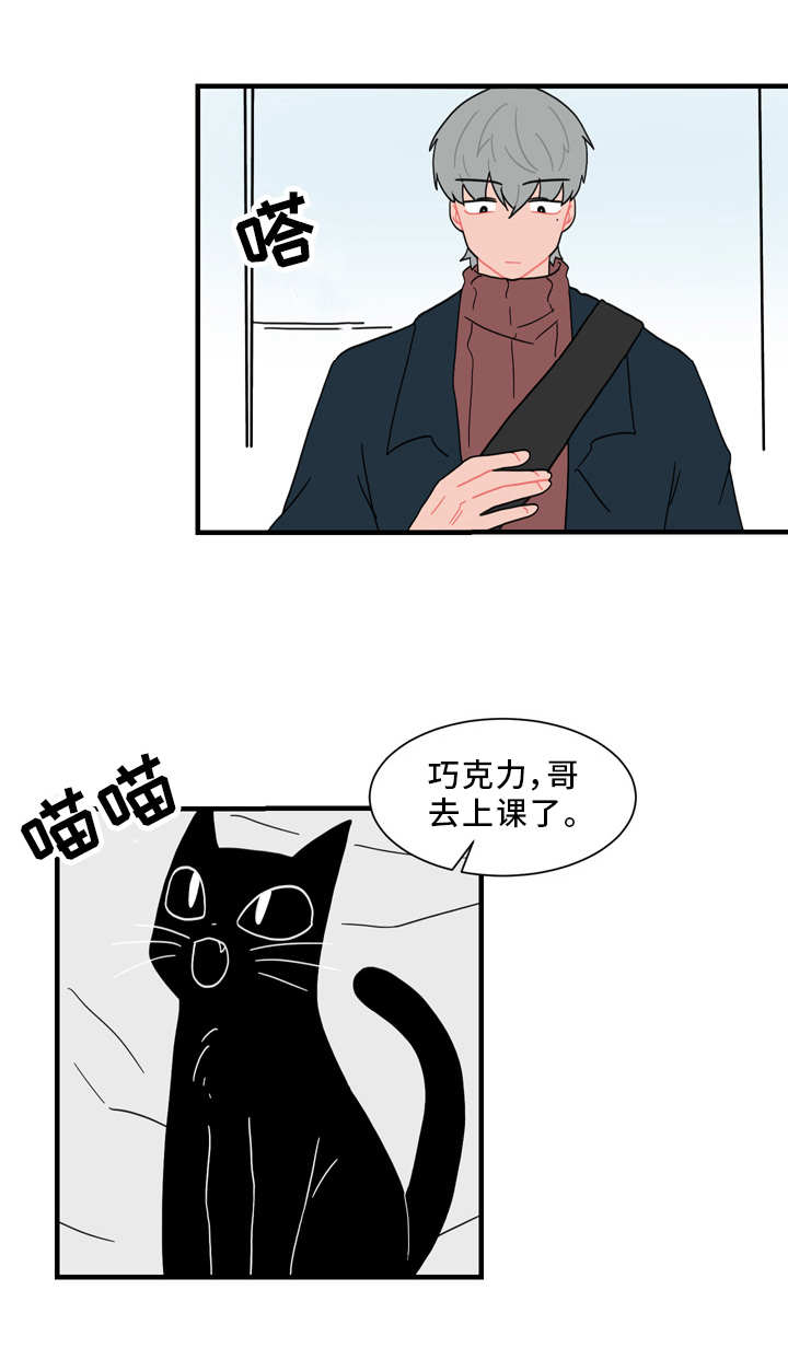 《人形玩物》漫画最新章节第56章：真相免费下拉式在线观看章节第【1】张图片