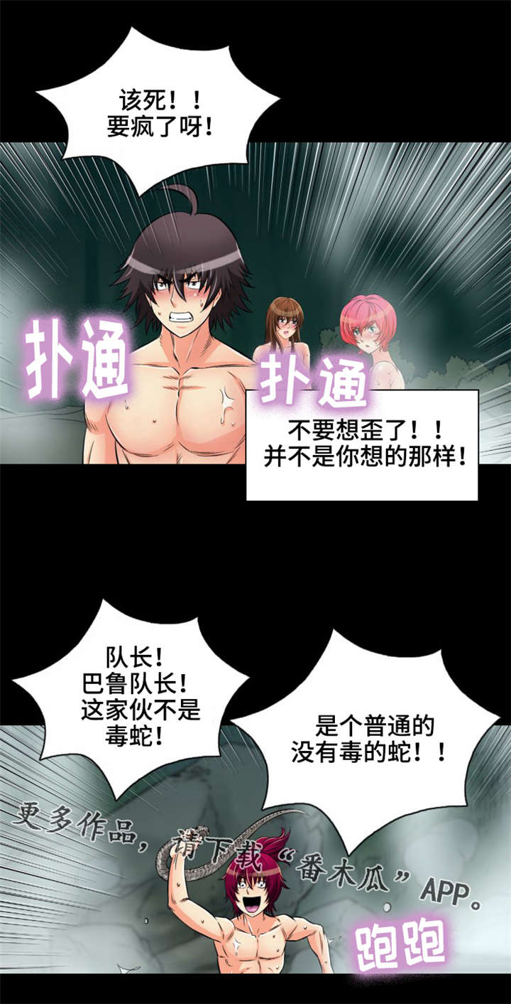 《神龙抉择》漫画最新章节第13章：普通的蛇免费下拉式在线观看章节第【11】张图片