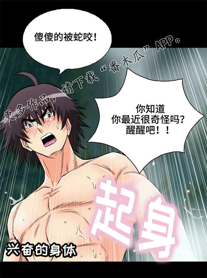 《神龙抉择》漫画最新章节第13章：普通的蛇免费下拉式在线观看章节第【13】张图片