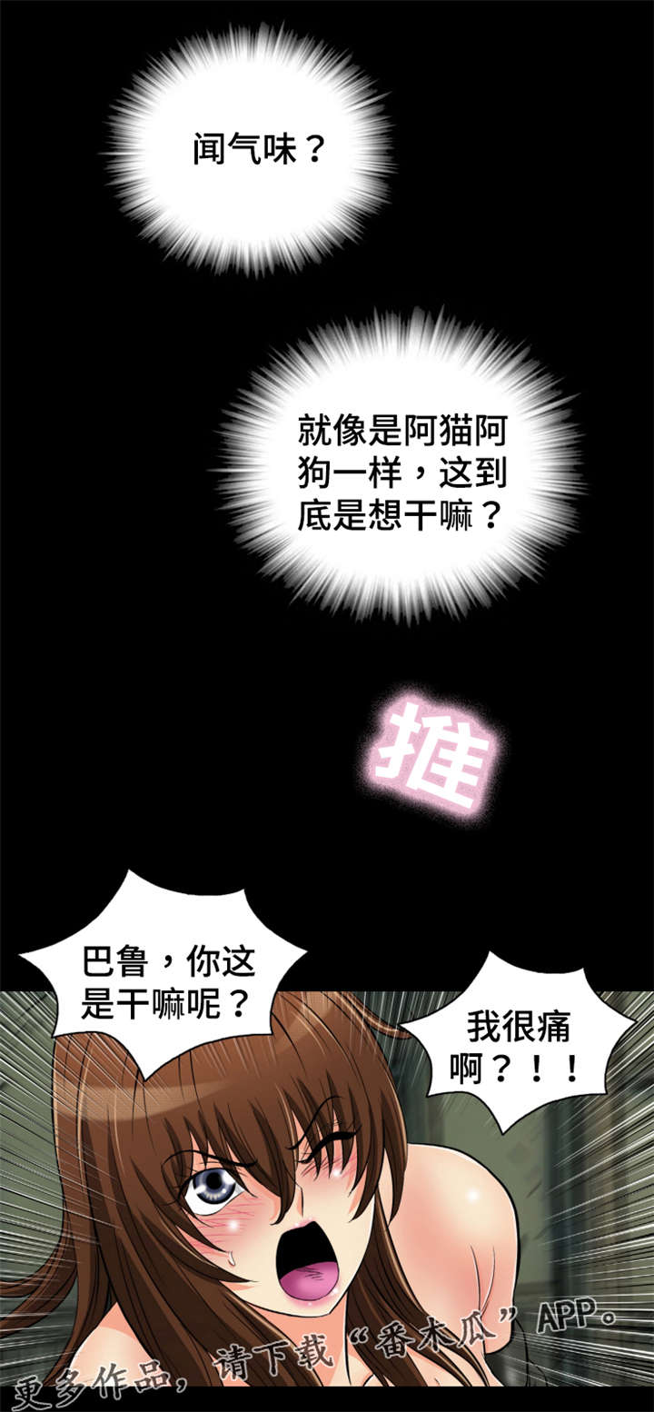 《神龙抉择》漫画最新章节第70章：心上人免费下拉式在线观看章节第【2】张图片