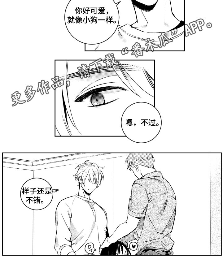 《甜蜜社团》漫画最新章节第46章：没用的话免费下拉式在线观看章节第【7】张图片