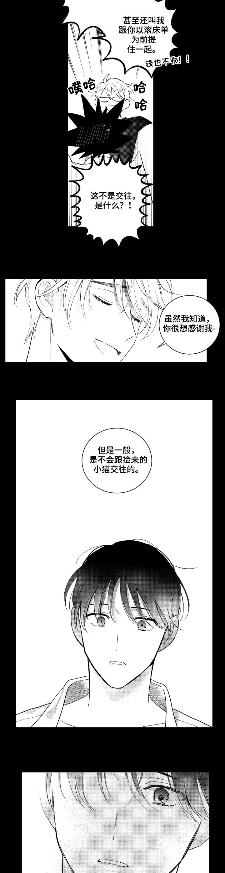 《甜蜜社团》漫画最新章节第146章：【番外】可怜免费下拉式在线观看章节第【10】张图片