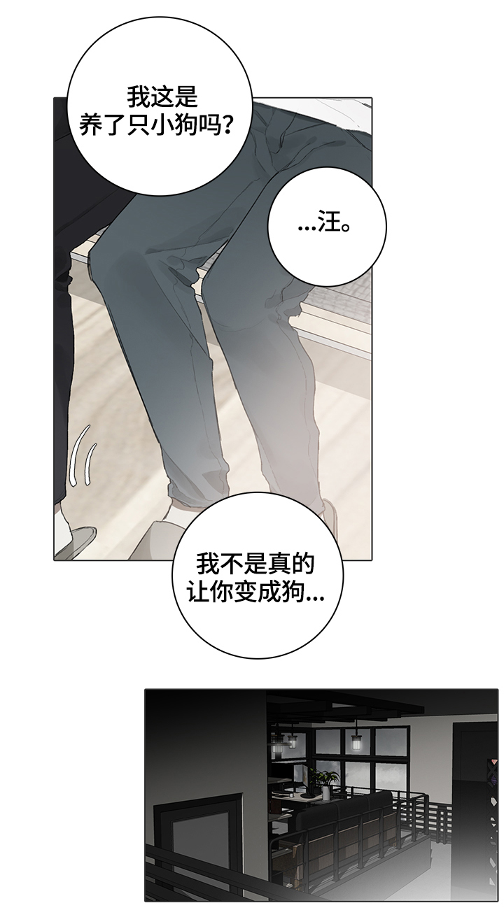 《矛盾钢琴家》漫画最新章节第62章：代替免费下拉式在线观看章节第【2】张图片