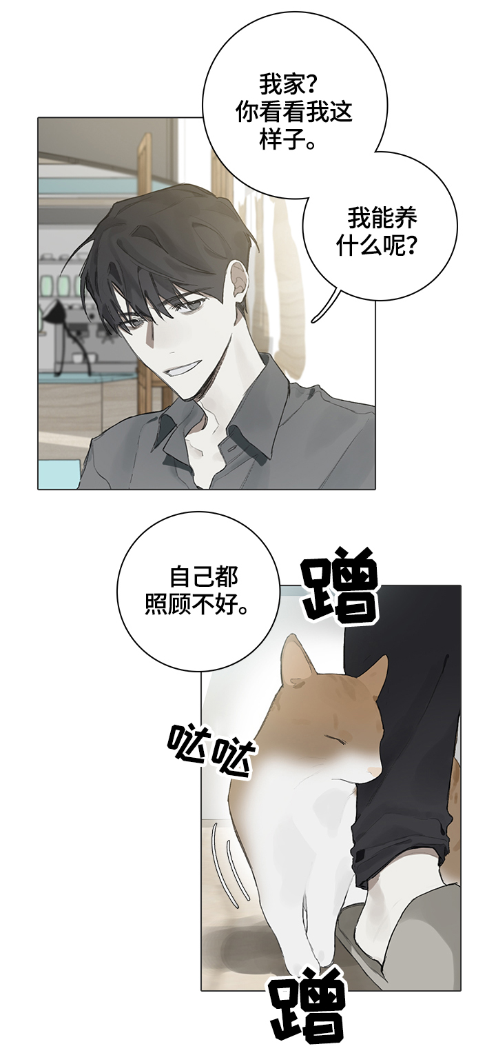 《矛盾钢琴家》漫画最新章节第62章：代替免费下拉式在线观看章节第【4】张图片