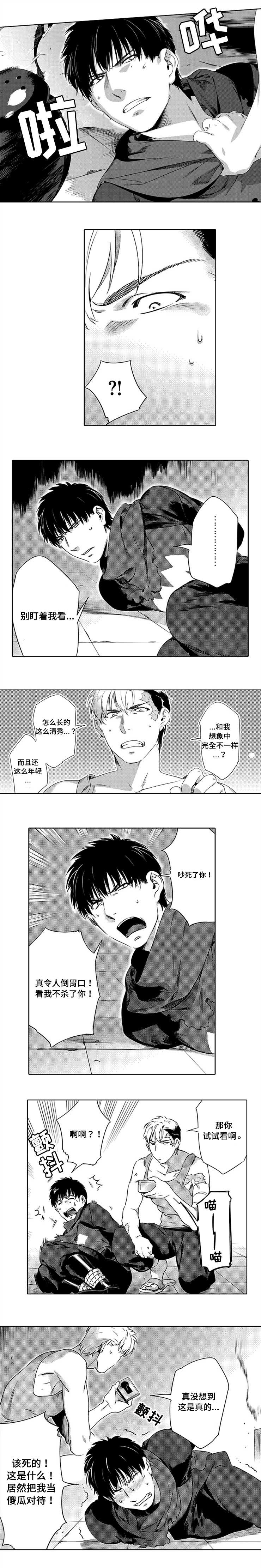 《黑暗行动》漫画最新章节第2章：致命弱点免费下拉式在线观看章节第【5】张图片