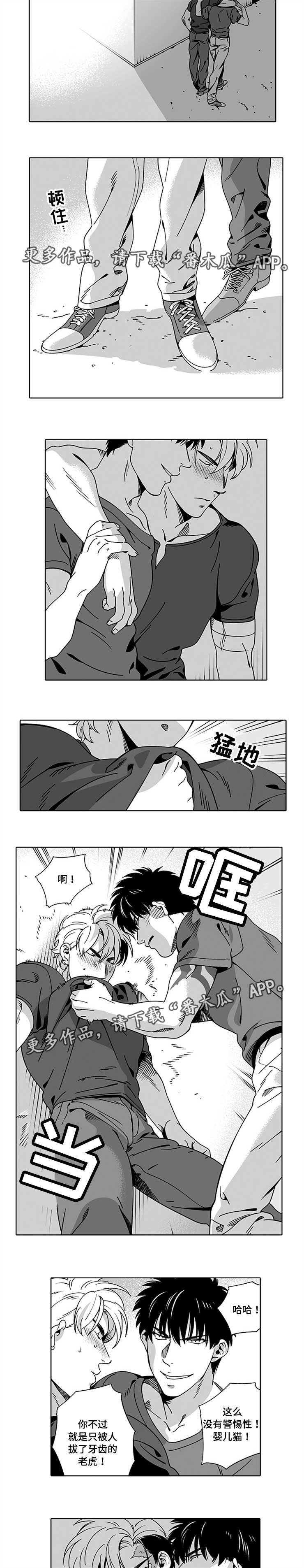 《黑暗行动》漫画最新章节第13章：确定一下免费下拉式在线观看章节第【2】张图片