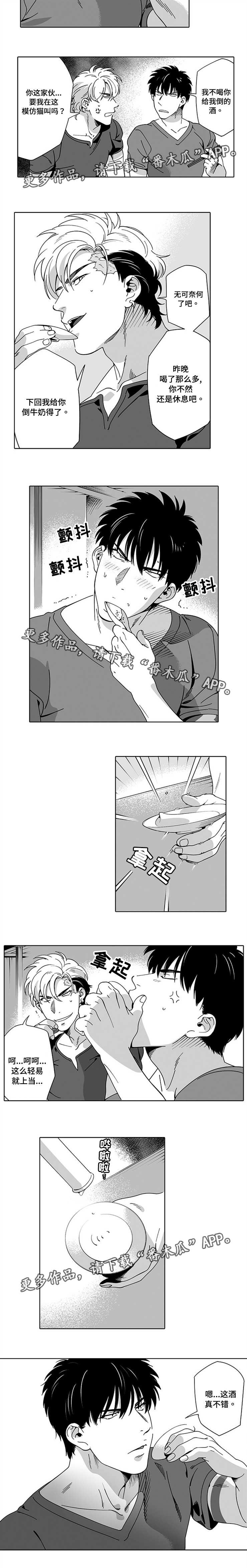 《黑暗行动》漫画最新章节第13章：确定一下免费下拉式在线观看章节第【6】张图片