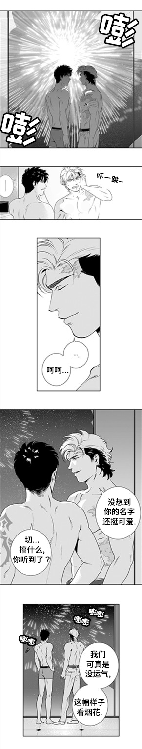 《黑暗行动》漫画最新章节第20章：怎么可能免费下拉式在线观看章节第【2】张图片