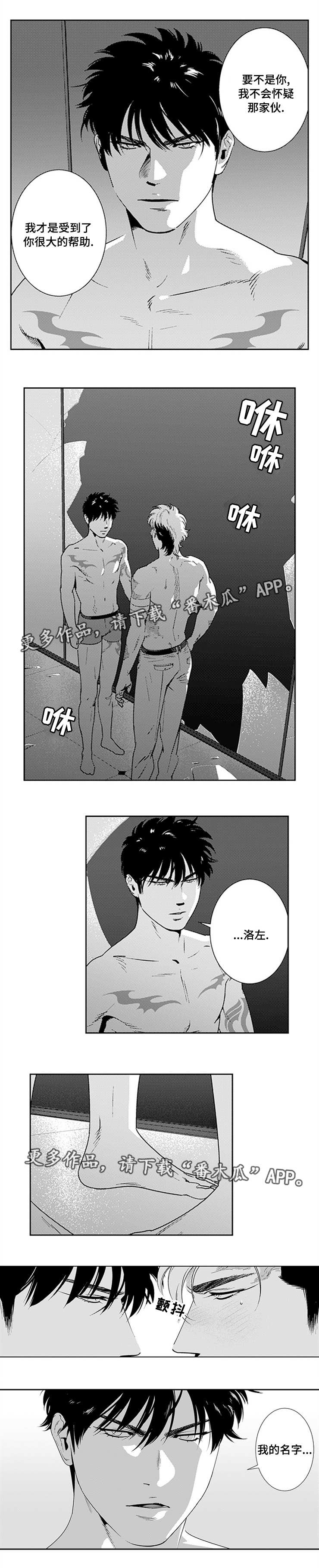 《黑暗行动》漫画最新章节第20章：怎么可能免费下拉式在线观看章节第【3】张图片