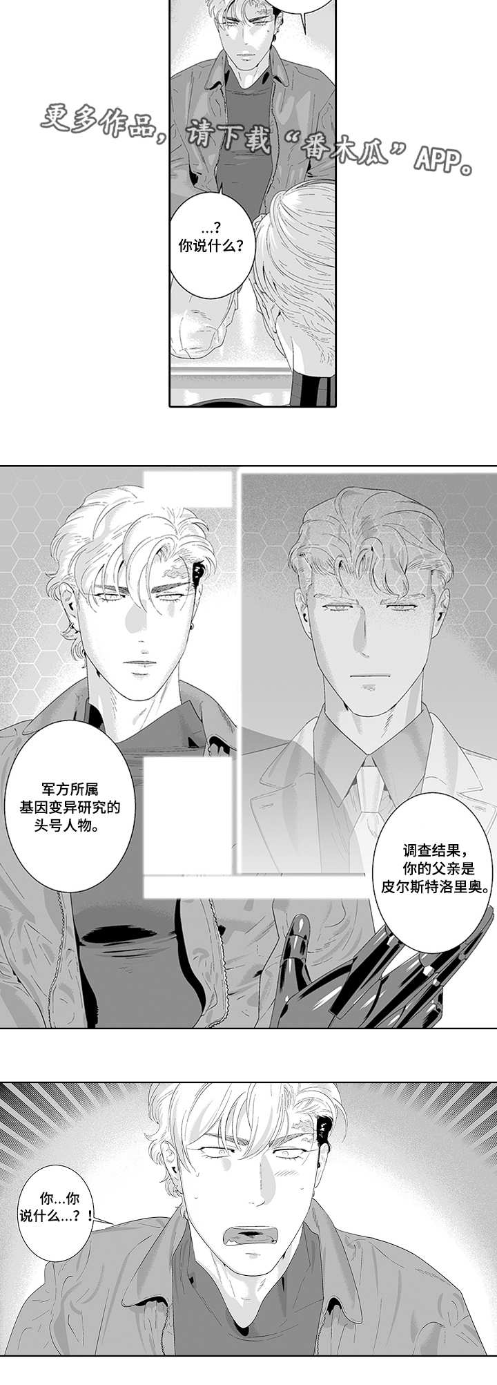 《黑暗行动》漫画最新章节第33章：一起合作免费下拉式在线观看章节第【1】张图片