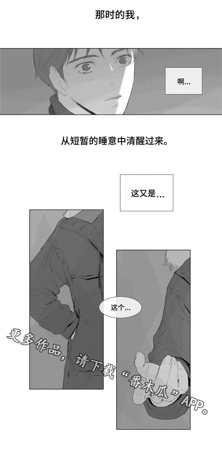 《童年报复》漫画最新章节第3章：一见钟情免费下拉式在线观看章节第【11】张图片