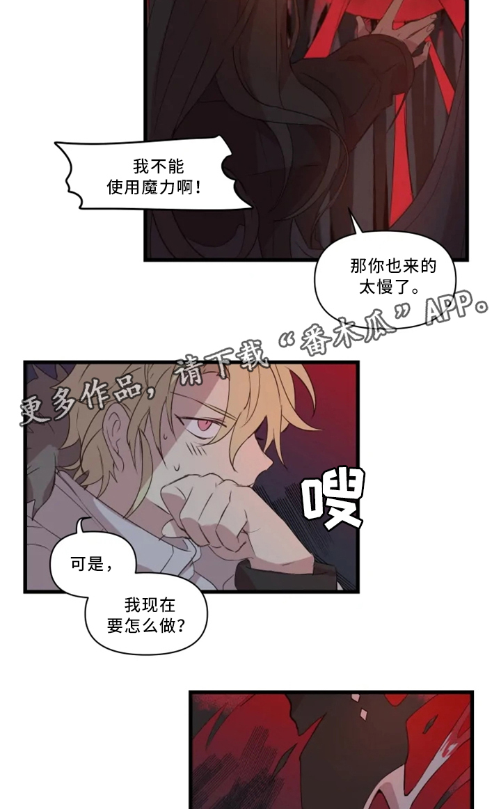 《半魔恋人》漫画最新章节第33章：战斗准备免费下拉式在线观看章节第【2】张图片