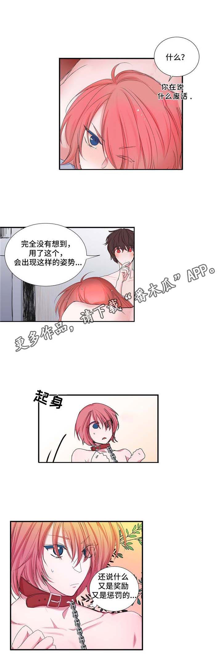 《特别研究》漫画最新章节第23章：奖励与惩罚免费下拉式在线观看章节第【6】张图片