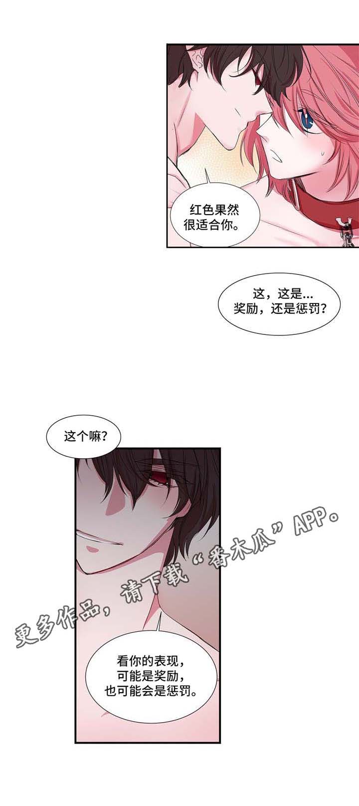 《特别研究》漫画最新章节第23章：奖励与惩罚免费下拉式在线观看章节第【8】张图片