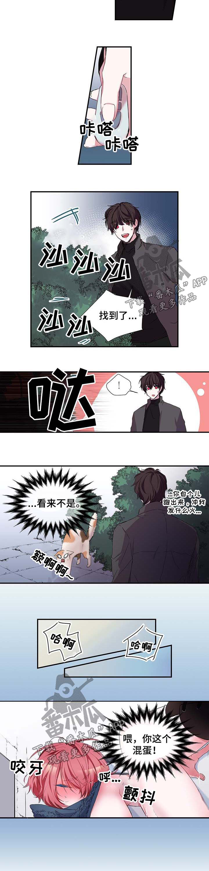 《特别研究》漫画最新章节第26章：这个混蛋免费下拉式在线观看章节第【2】张图片