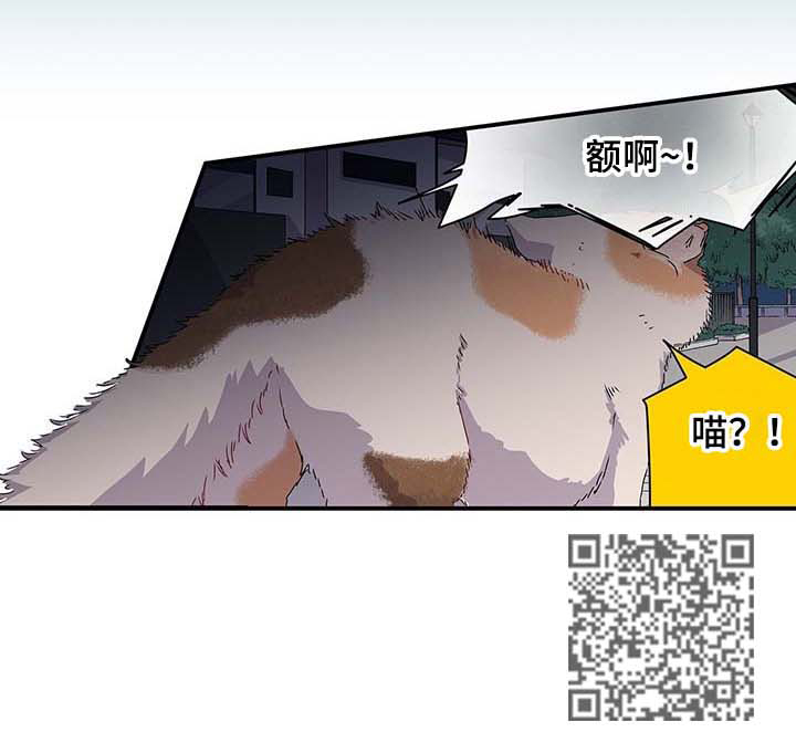 《特别研究》漫画最新章节第26章：这个混蛋免费下拉式在线观看章节第【1】张图片