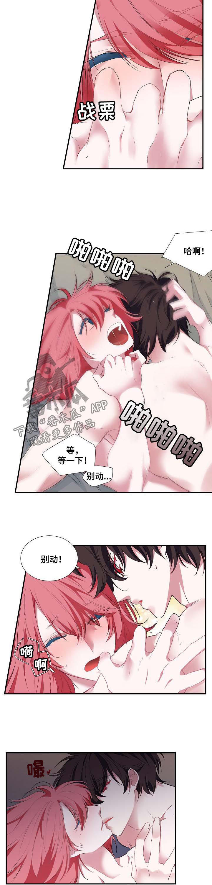 《特别研究》漫画最新章节第53章：撒谎免费下拉式在线观看章节第【6】张图片