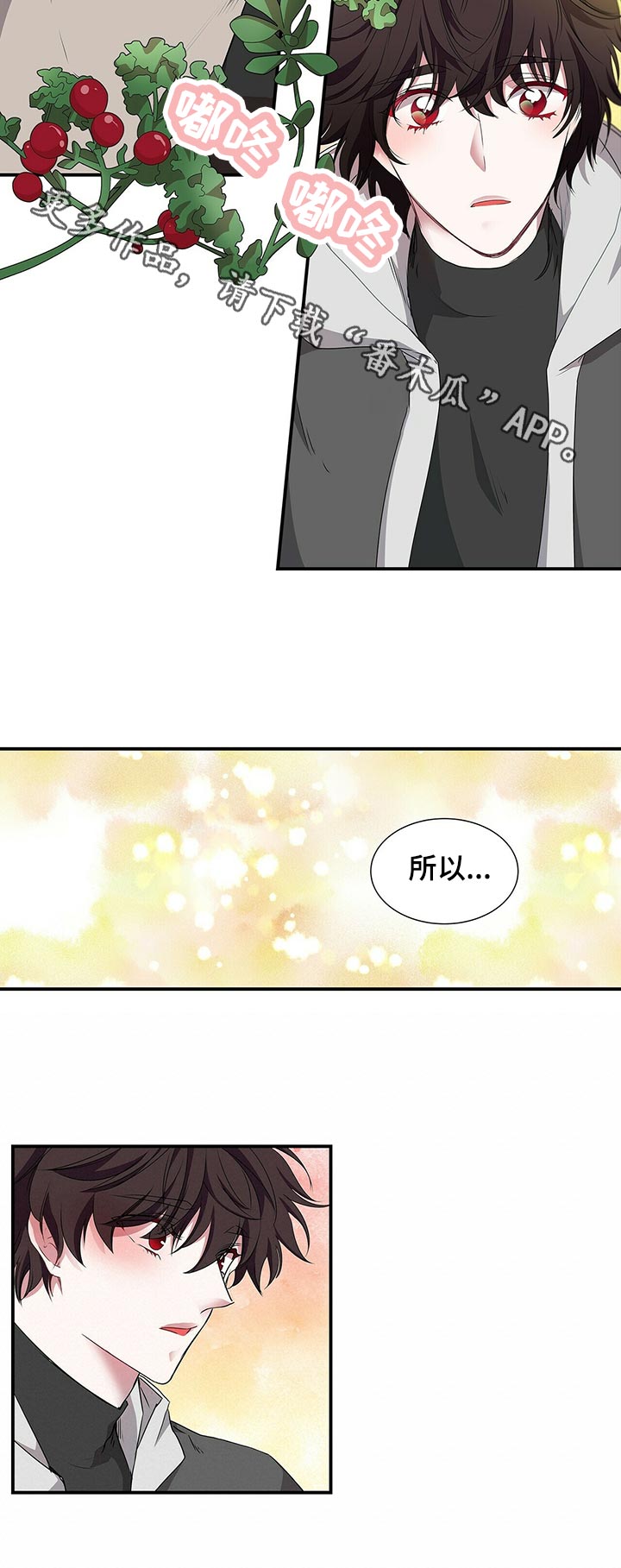 《特别研究》漫画最新章节第66章：所以...免费下拉式在线观看章节第【1】张图片