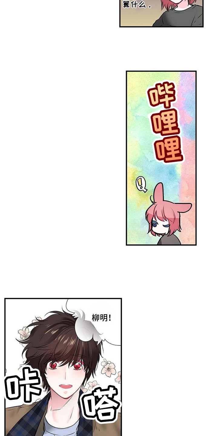 《特别研究》漫画最新章节第119章：我们移民吧免费下拉式在线观看章节第【8】张图片