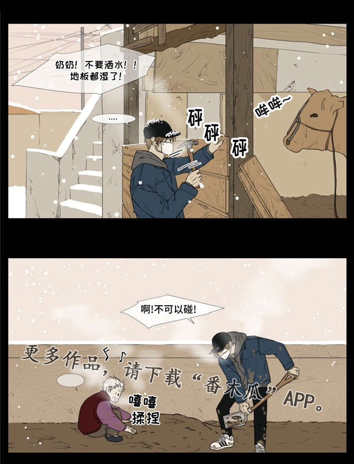 《逃亡旅途》漫画最新章节第11章：聚宝盆免费下拉式在线观看章节第【3】张图片