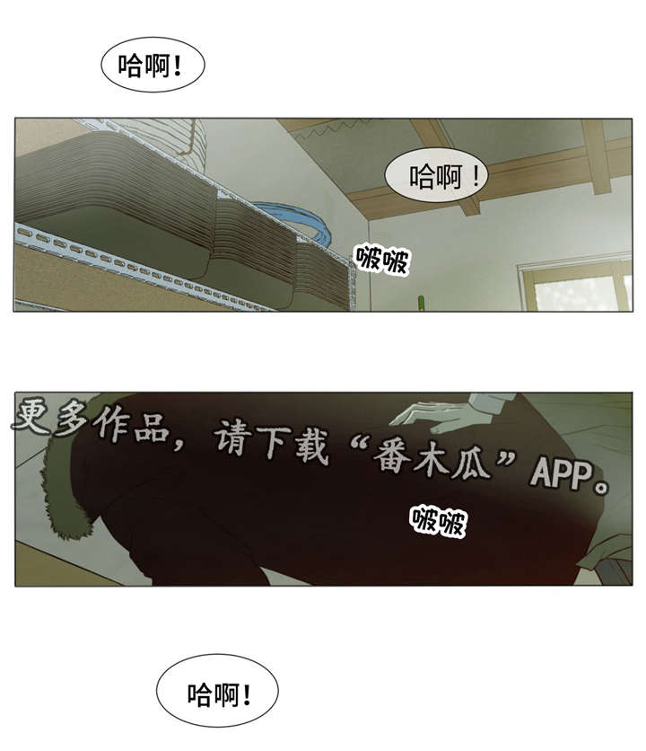 《逃亡旅途》漫画最新章节第34章：我想了解你免费下拉式在线观看章节第【9】张图片