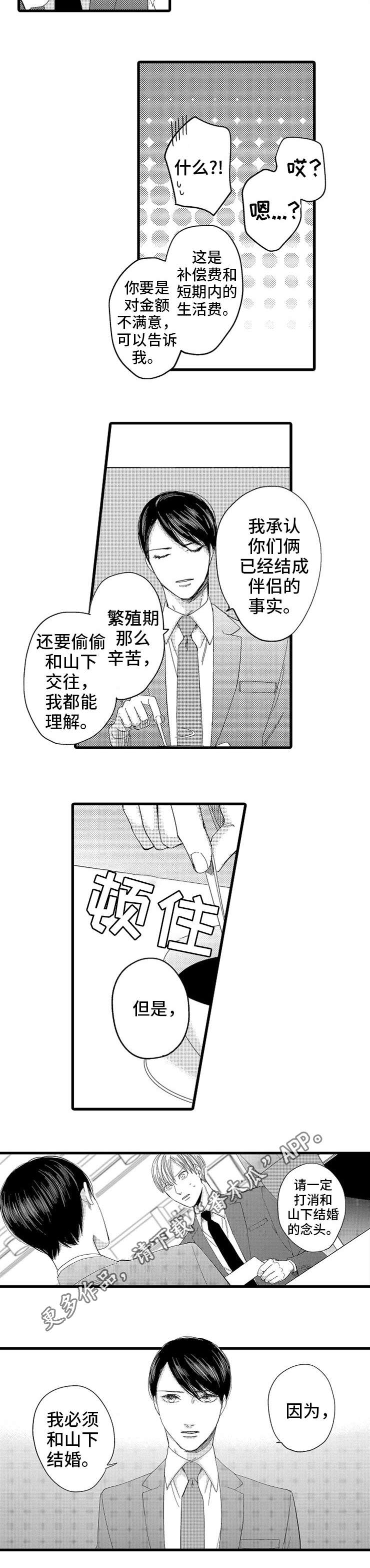 《欧米伽的谎言》漫画最新章节第11章：贿赂免费下拉式在线观看章节第【5】张图片