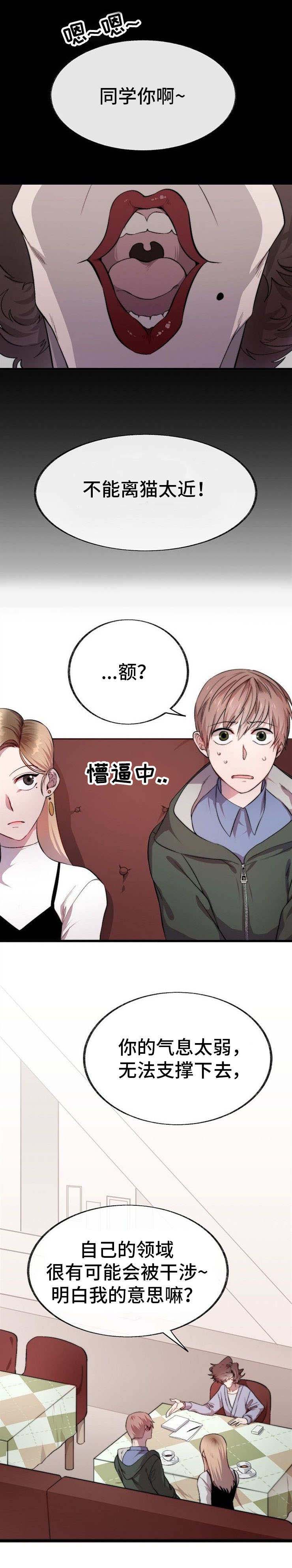 《魔力预警》漫画最新章节第1章：占卜免费下拉式在线观看章节第【4】张图片