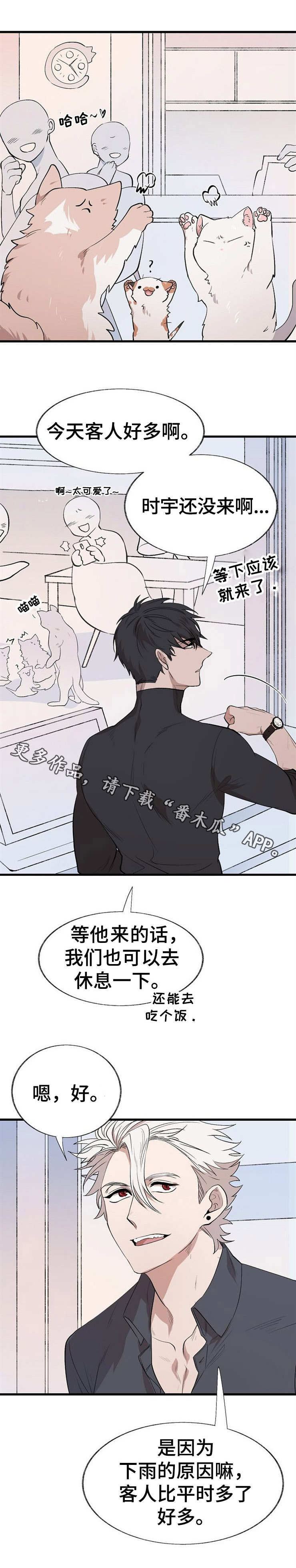 《魔力预警》漫画最新章节第15章：追逐免费下拉式在线观看章节第【9】张图片