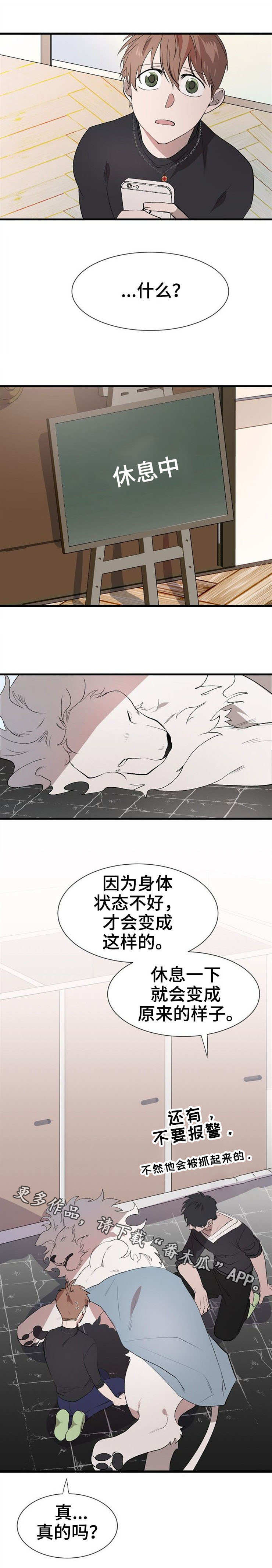 《魔力预警》漫画最新章节第21章：真身免费下拉式在线观看章节第【5】张图片