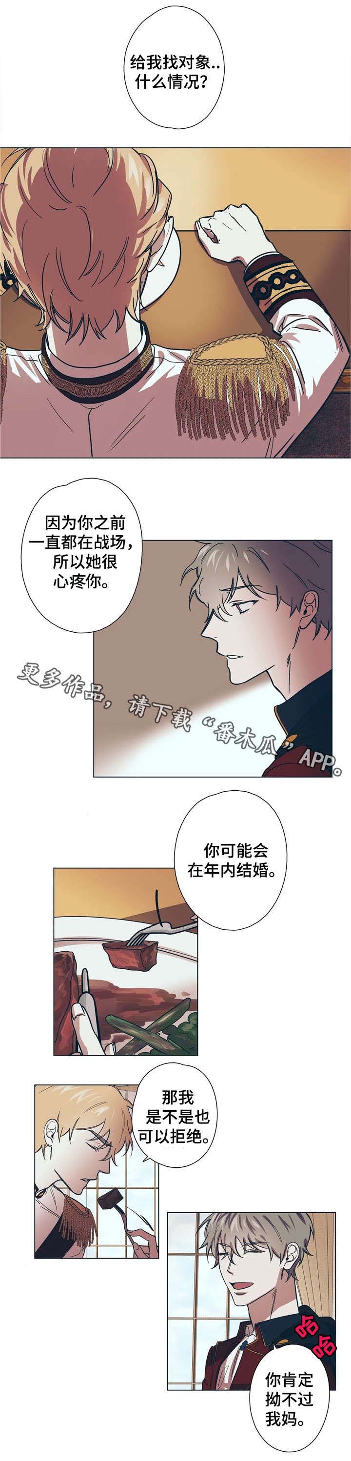 《皇室童话》漫画最新章节第8章：王妃免费下拉式在线观看章节第【6】张图片