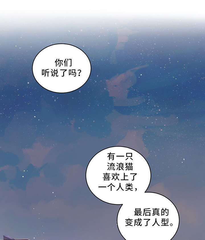 《亲爱的喵君》漫画最新章节第1章：传说免费下拉式在线观看章节第【18】张图片