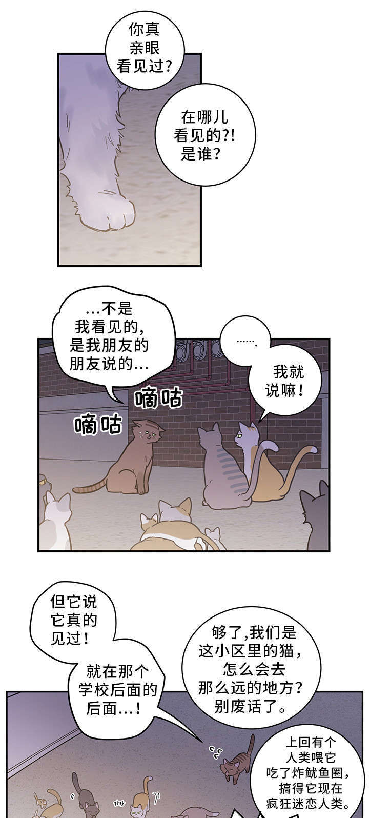 《亲爱的喵君》漫画最新章节第1章：传说免费下拉式在线观看章节第【16】张图片