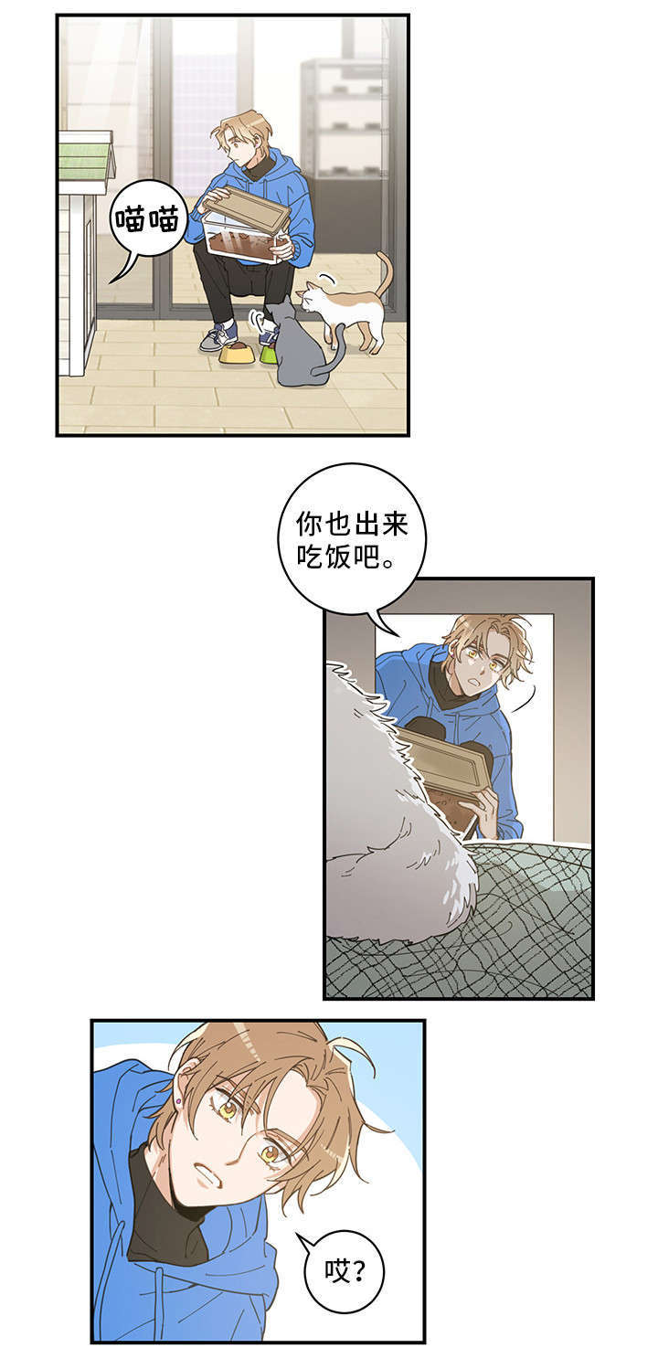 《亲爱的喵君》漫画最新章节第1章：传说免费下拉式在线观看章节第【4】张图片