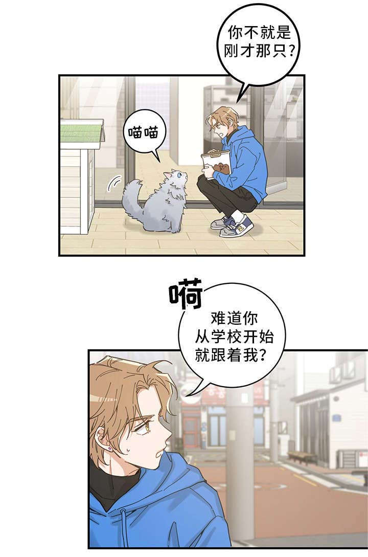 《亲爱的喵君》漫画最新章节第1章：传说免费下拉式在线观看章节第【3】张图片