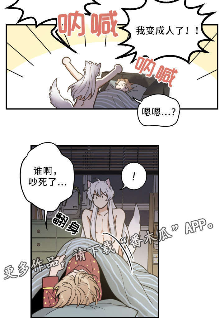 《亲爱的喵君》漫画最新章节第3章：梦免费下拉式在线观看章节第【13】张图片