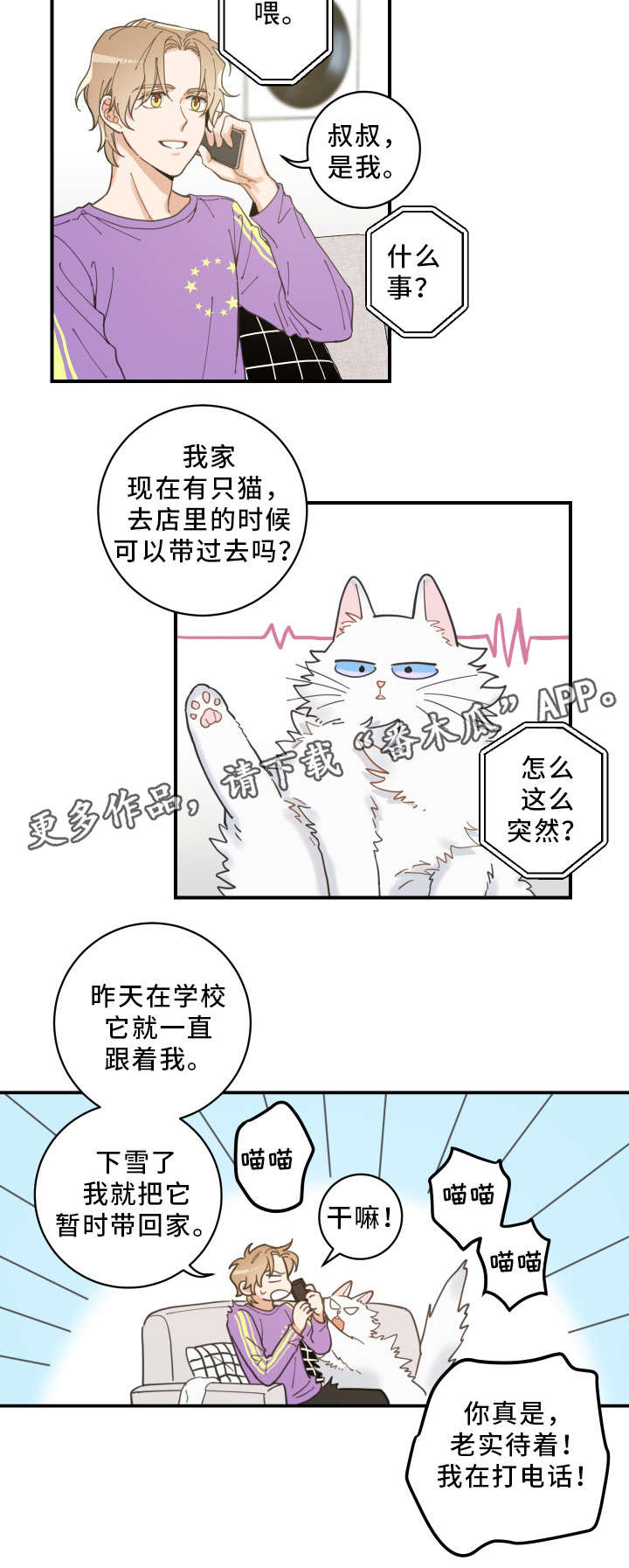 《亲爱的喵君》漫画最新章节第4章：我要呆在这免费下拉式在线观看章节第【4】张图片