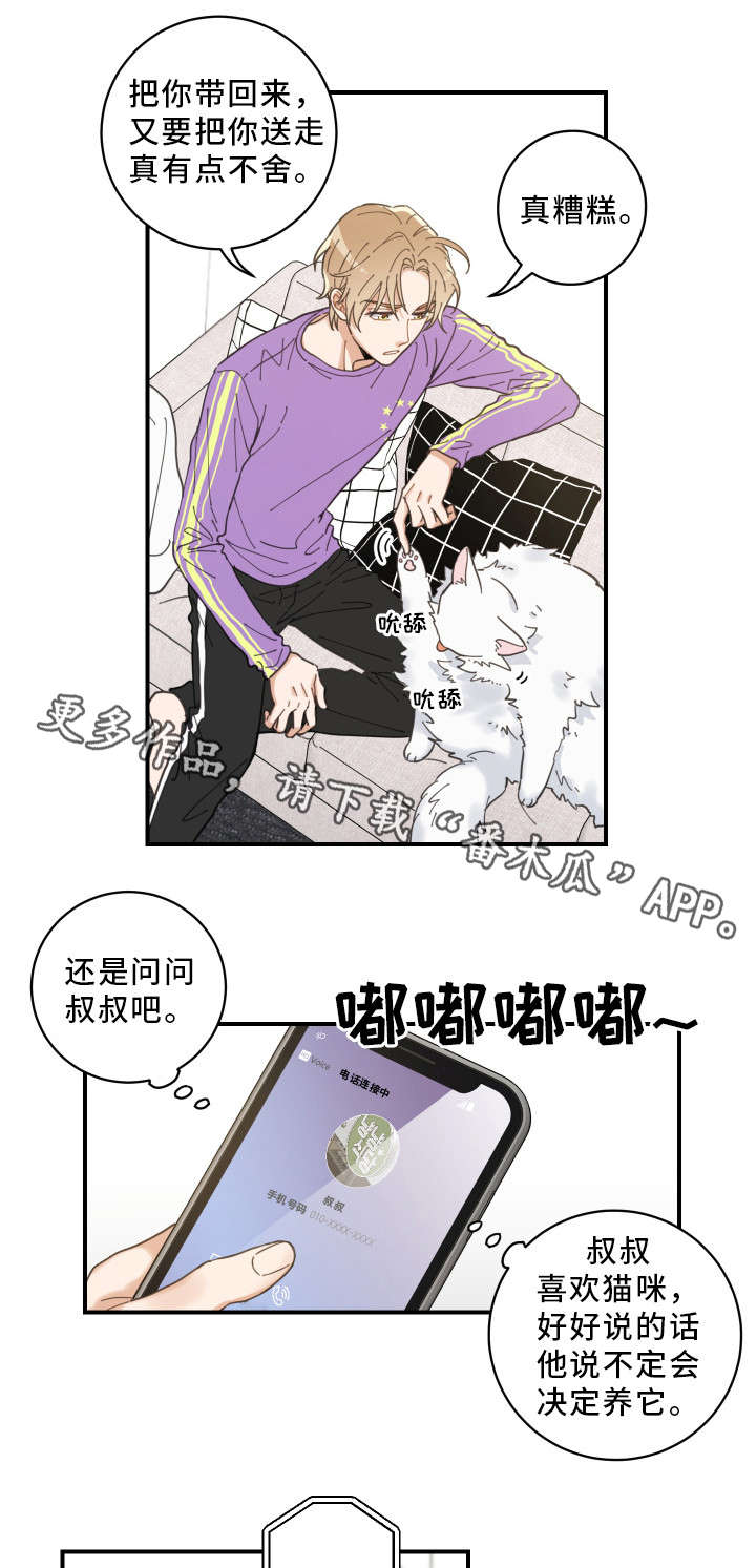 《亲爱的喵君》漫画最新章节第4章：我要呆在这免费下拉式在线观看章节第【5】张图片