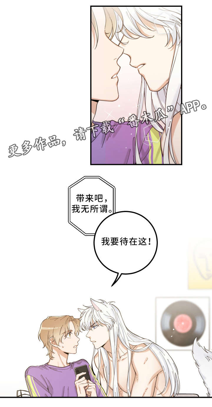 《亲爱的喵君》漫画最新章节第4章：我要呆在这免费下拉式在线观看章节第【2】张图片