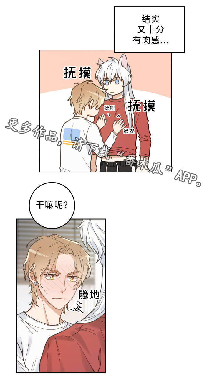 《亲爱的喵君》漫画最新章节第7章：衣服免费下拉式在线观看章节第【3】张图片