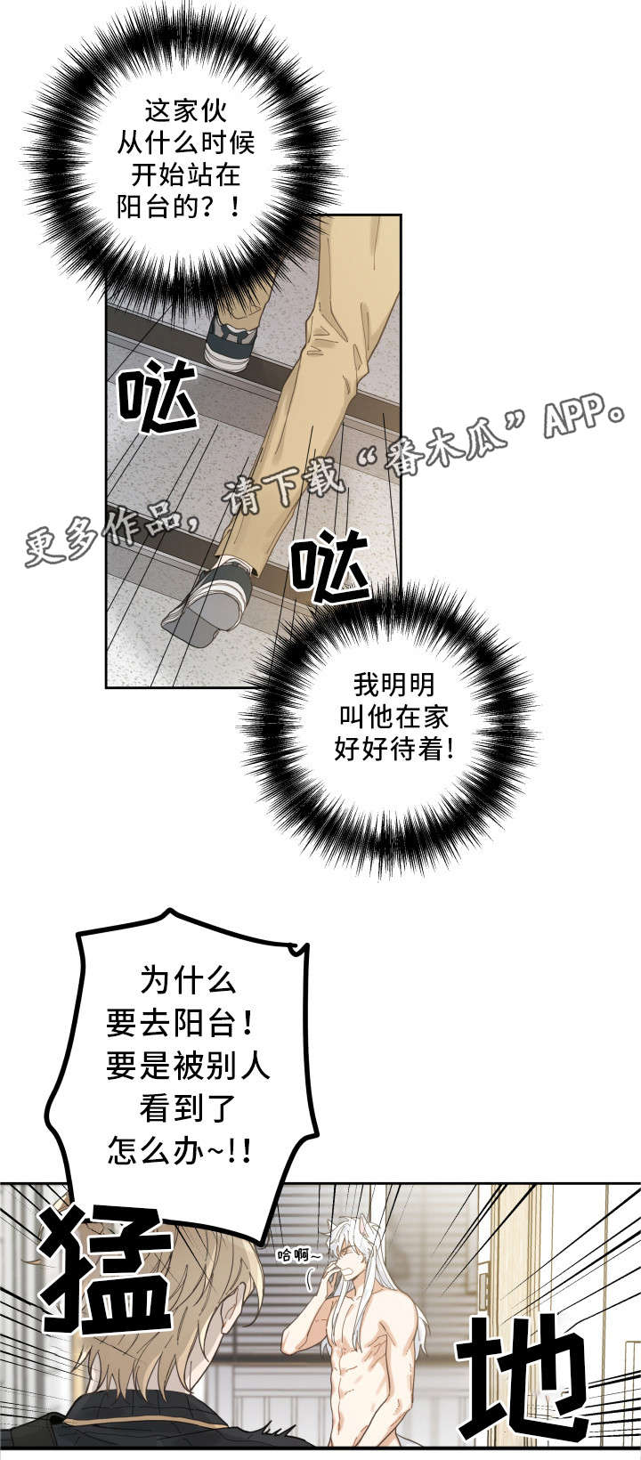 《亲爱的喵君》漫画最新章节第7章：衣服免费下拉式在线观看章节第【10】张图片