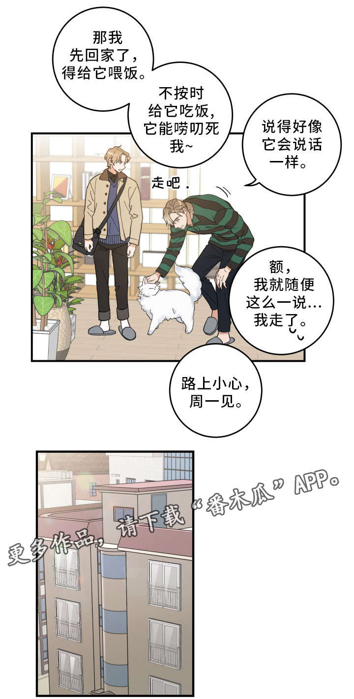 《亲爱的喵君》漫画最新章节第10章：负责到底免费下拉式在线观看章节第【8】张图片