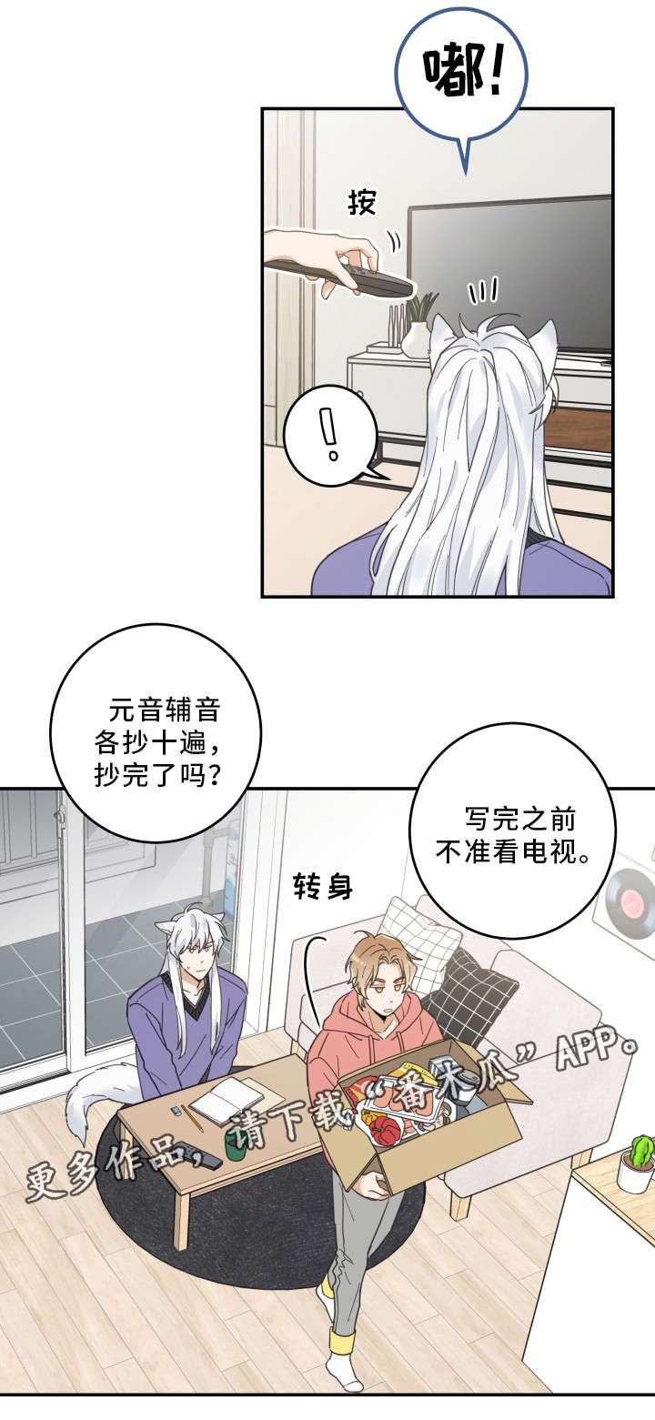 《亲爱的喵君》漫画最新章节第11章：钻箱子免费下拉式在线观看章节第【11】张图片