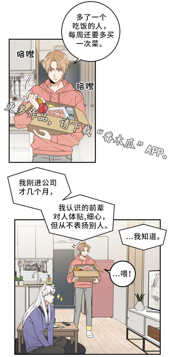 《亲爱的喵君》漫画最新章节第11章：钻箱子免费下拉式在线观看章节第【12】张图片