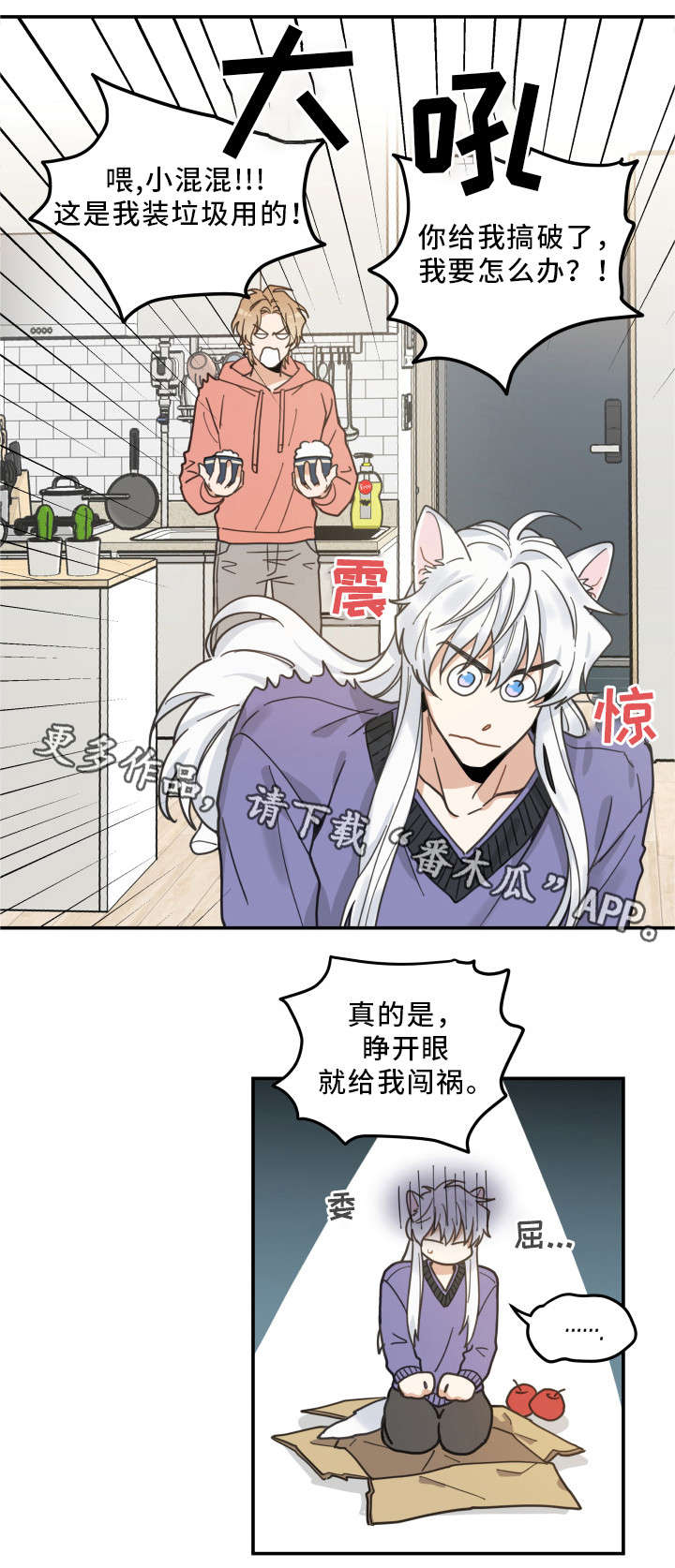 《亲爱的喵君》漫画最新章节第11章：钻箱子免费下拉式在线观看章节第【6】张图片