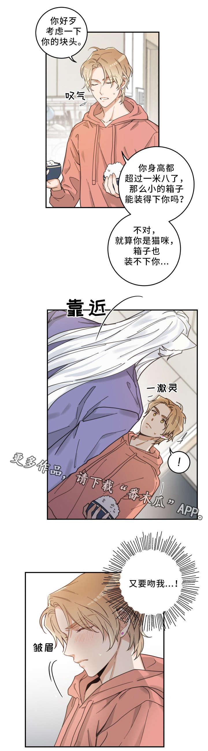 《亲爱的喵君》漫画最新章节第11章：钻箱子免费下拉式在线观看章节第【5】张图片