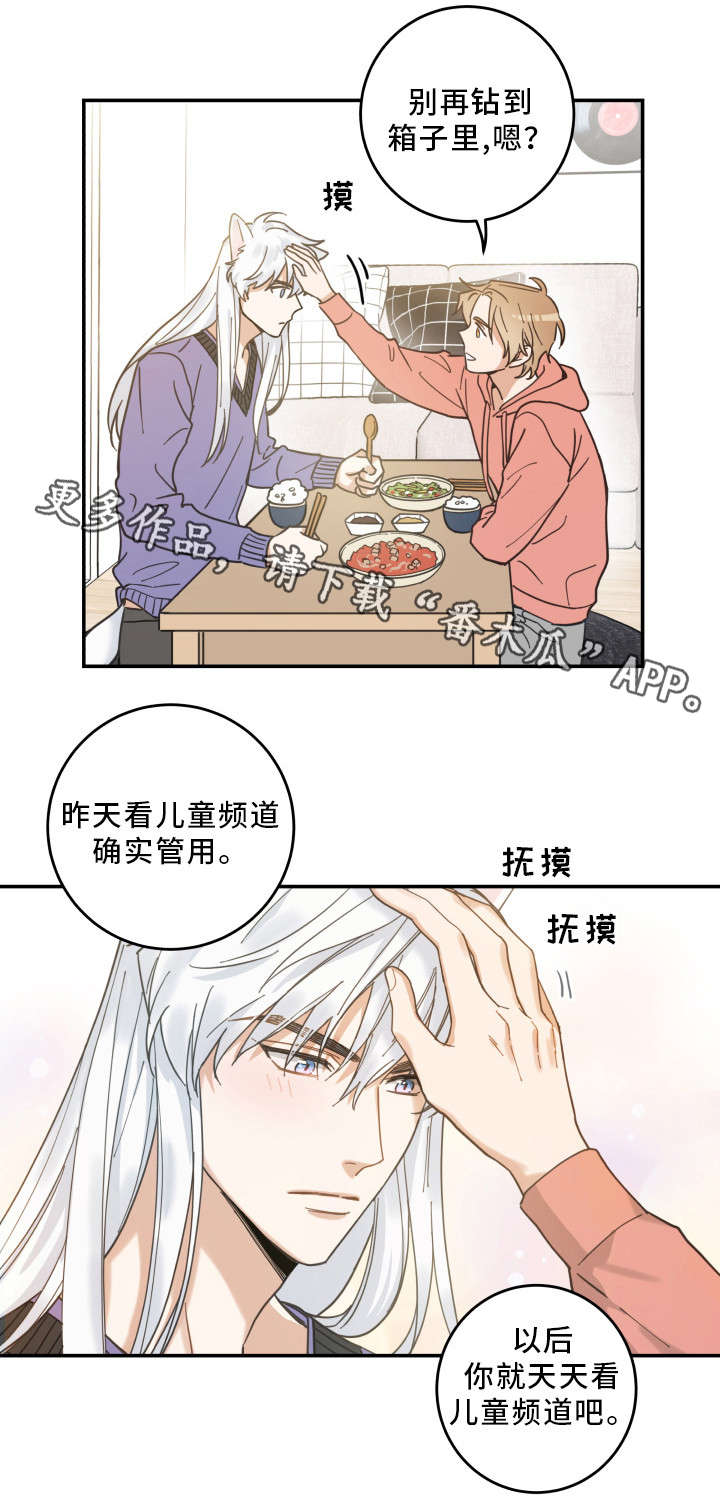 《亲爱的喵君》漫画最新章节第11章：钻箱子免费下拉式在线观看章节第【1】张图片