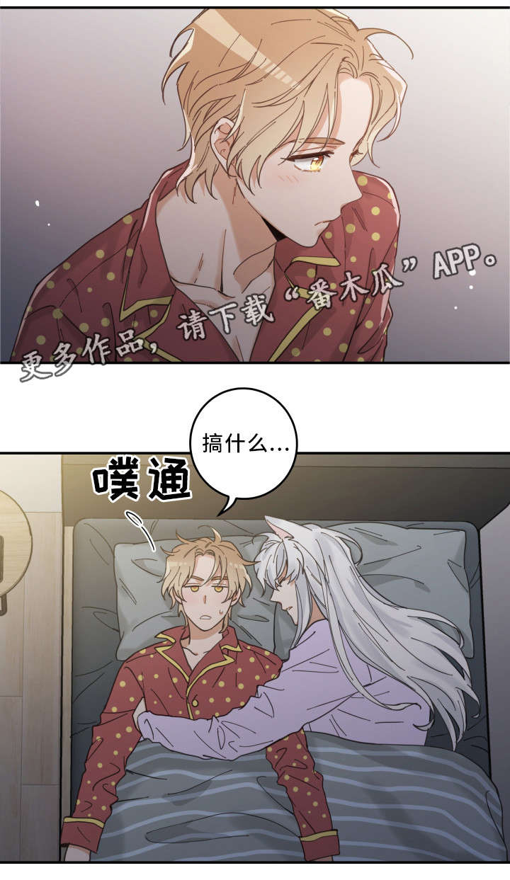 《亲爱的喵君》漫画最新章节第12章：无事发生免费下拉式在线观看章节第【7】张图片